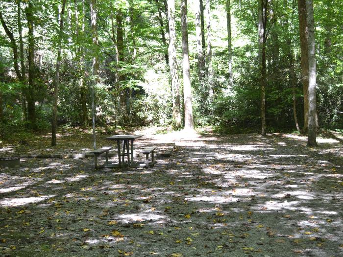 Cataloochee Campground Site 18Picnic table and tent pad site 18