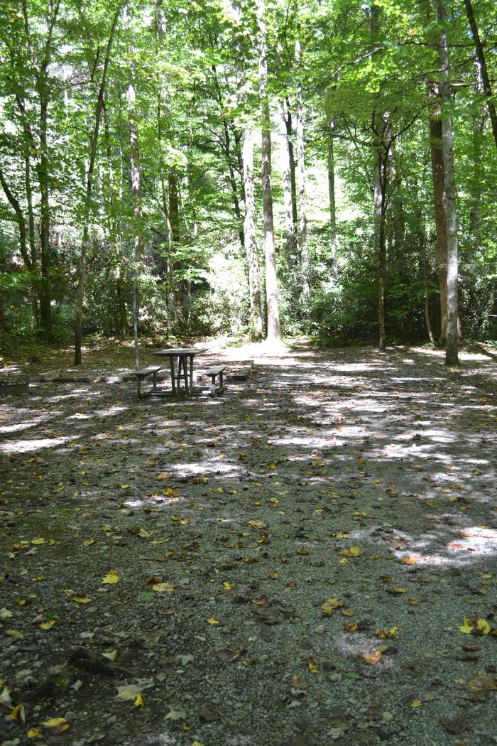 Cataloochee Campground 18Picnic table and tent pad
