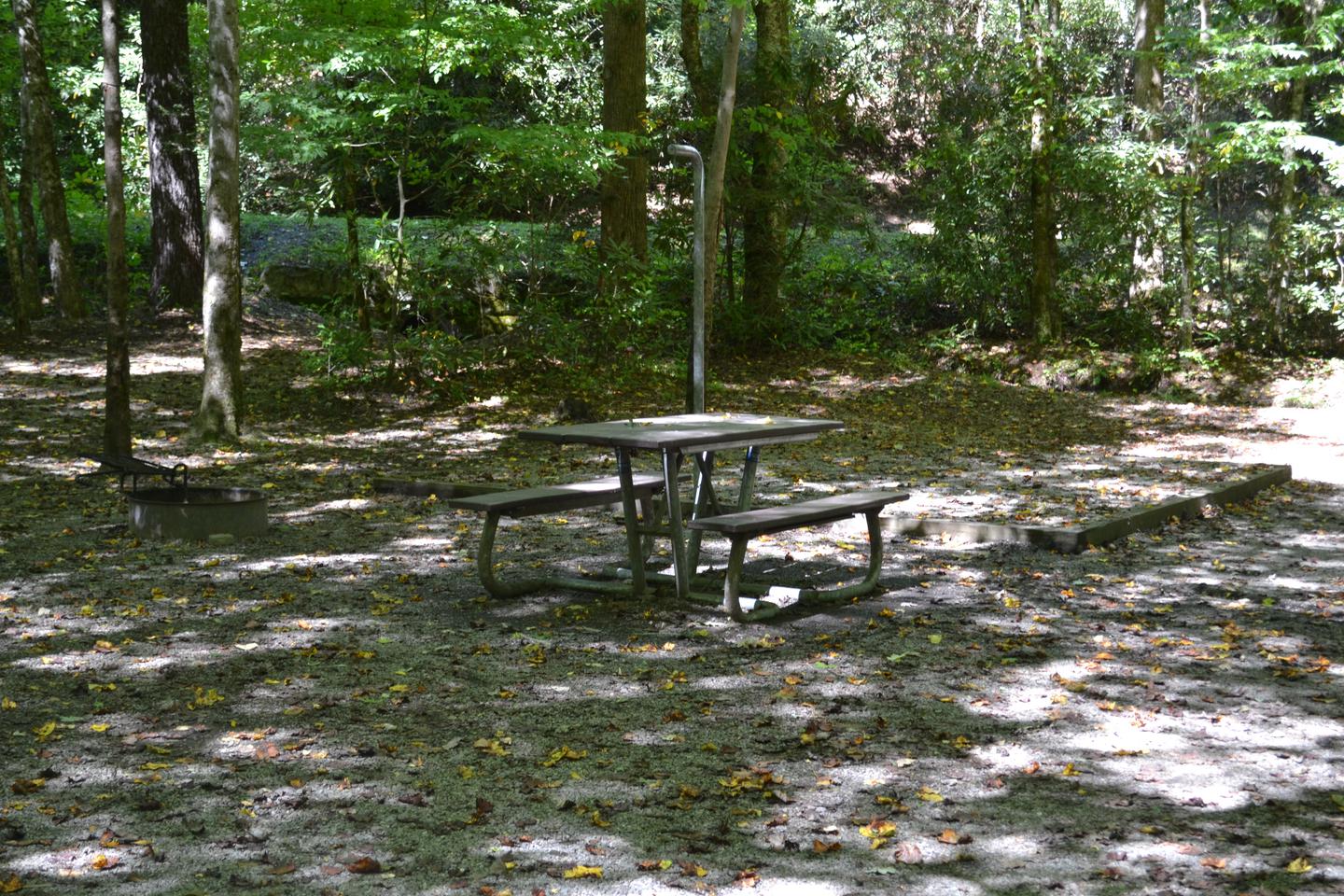 Site 18 CataloocheeCampsite view of picnic table and tent pad with main road in background