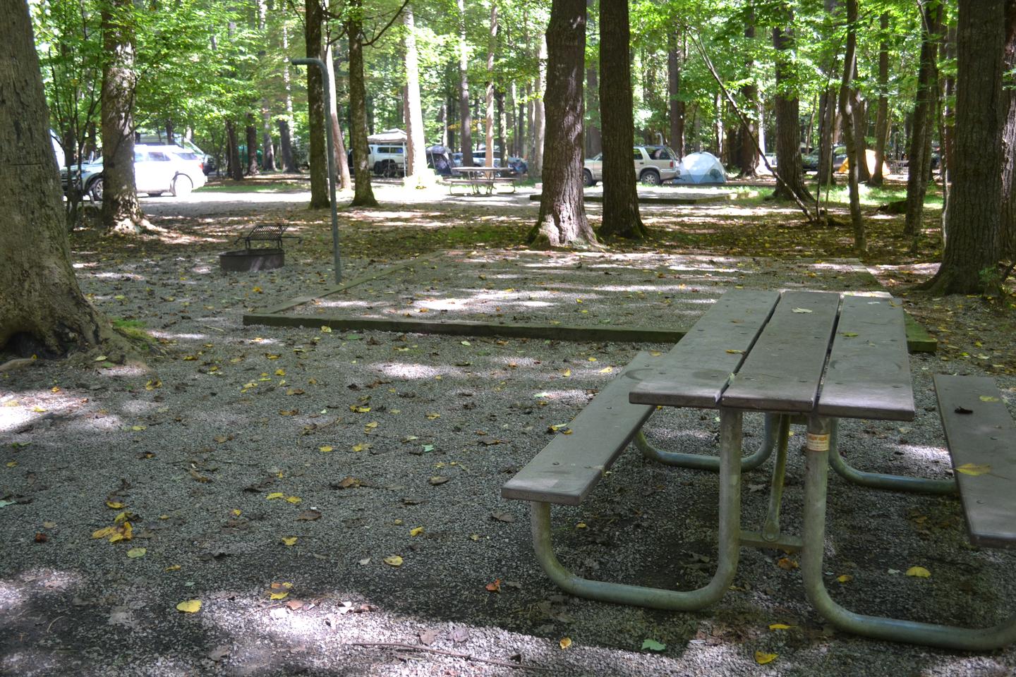Cataloochee Campground Site 20Site 20  showing picnic table and tent pad from campsite parking