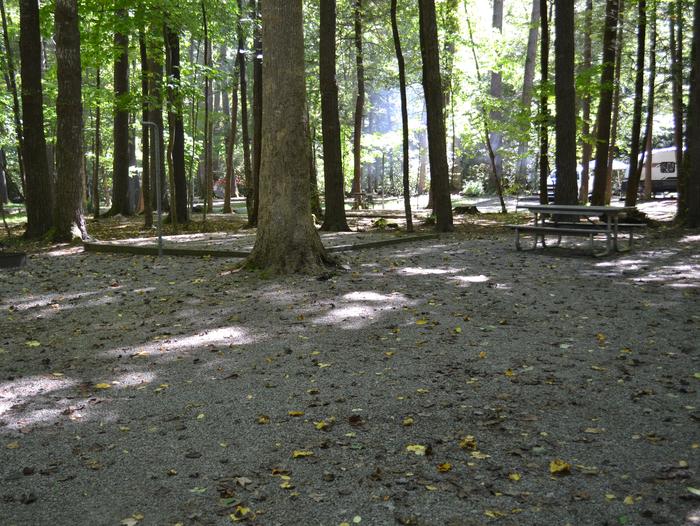 Cataloochee Campground Site 20Site showing camper parking with picnic table 