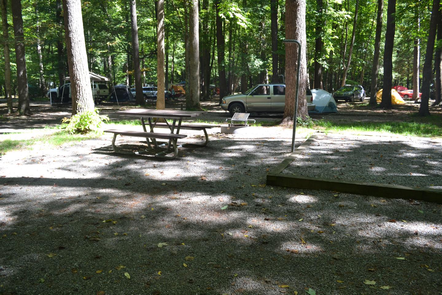 Site 21View of campsite showing location relative to other campsites in Cataloochee