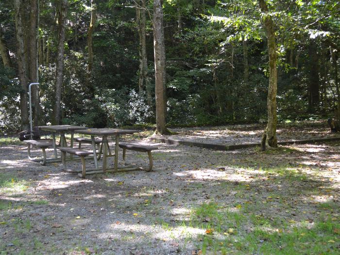 Cataloochee Horse Camp Site 2Picnic tables and tent pad area