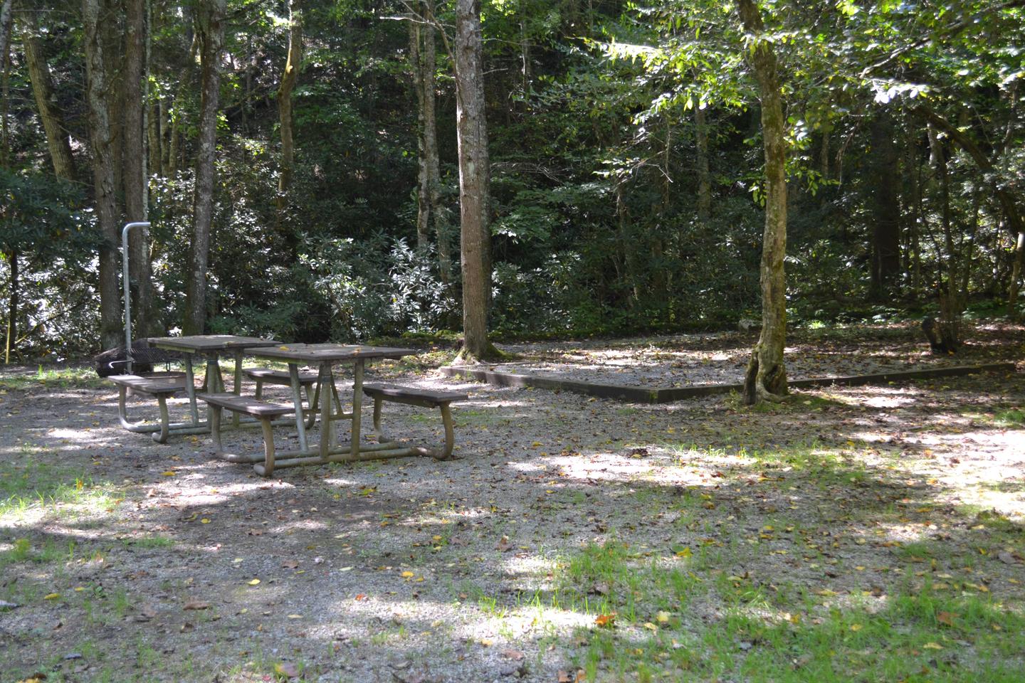 Cataloochee Horse Camp Site 2Picnic tables and tent pad area