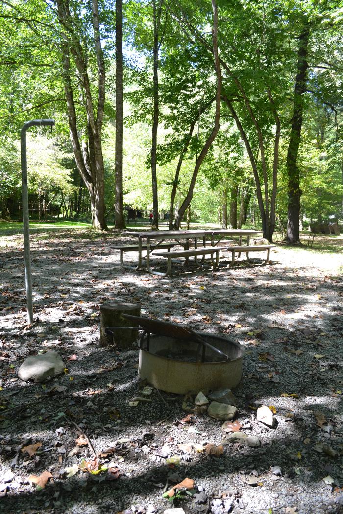 Horse Camp Cataloochee Site 1View of fire ring, lantern post and picnic tables