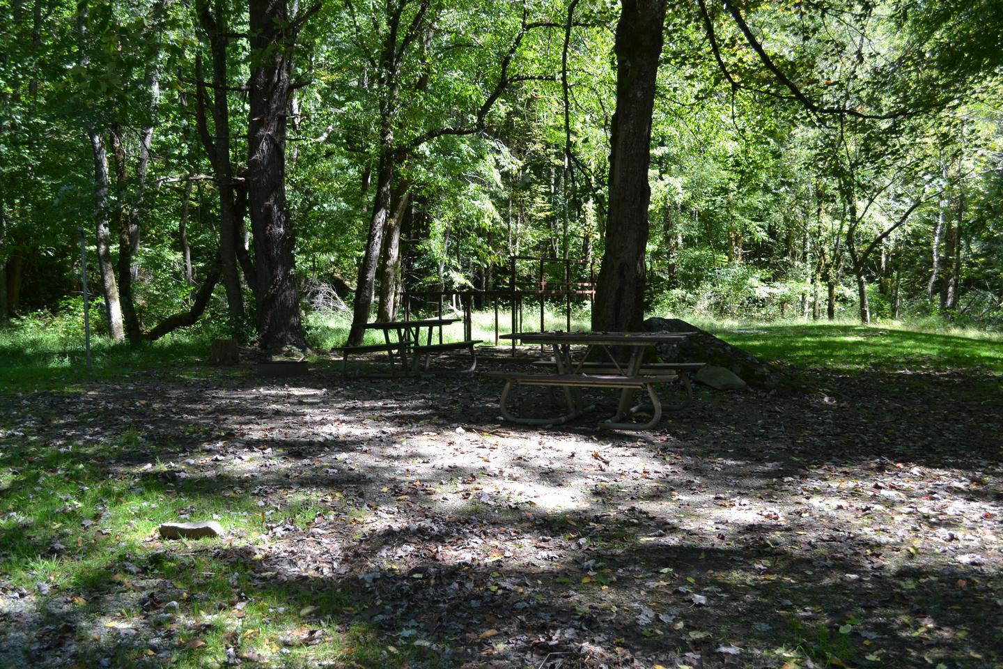 Cataloochee Horse Camp Site 3
