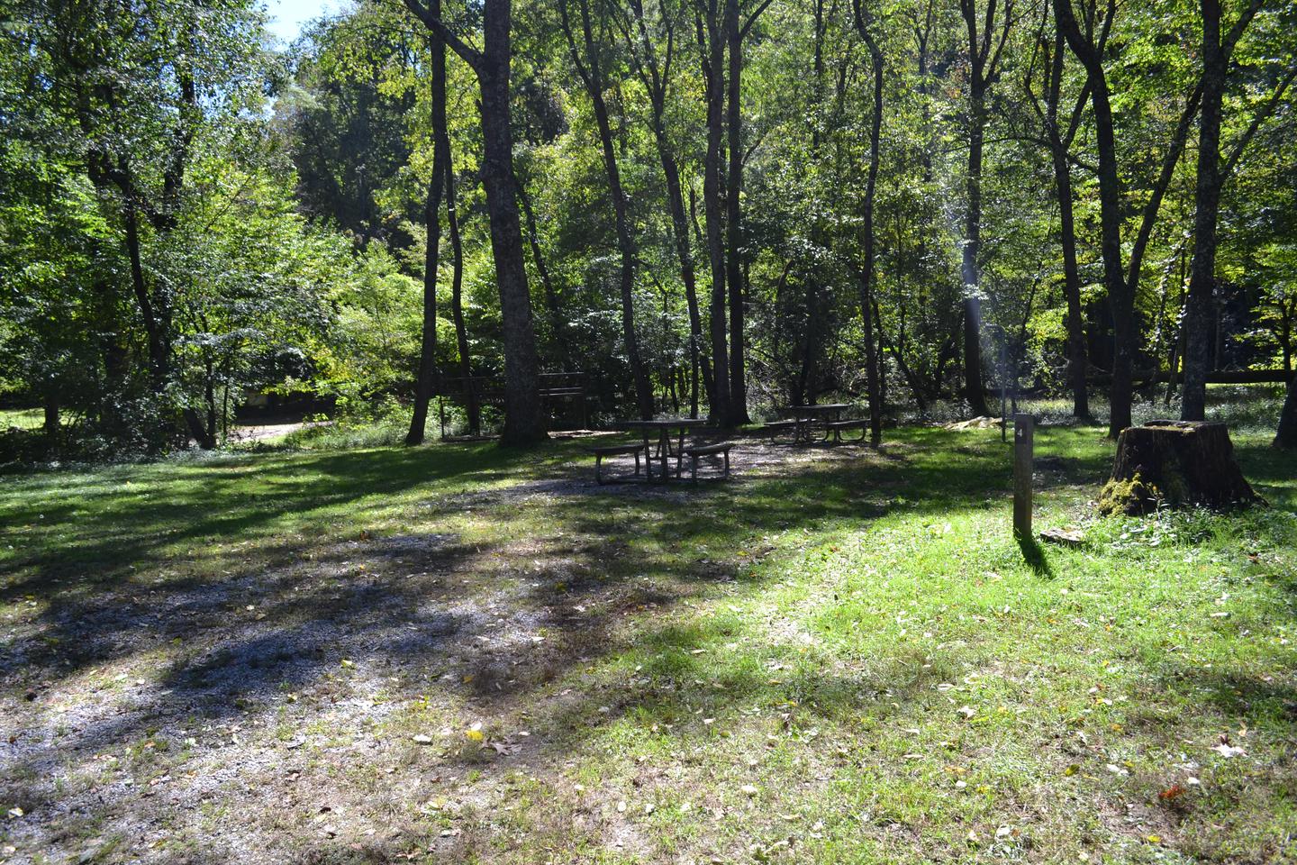 Cataloochee Horse Camp Site 4Campsite view from entry road showing parking area with picnic tables