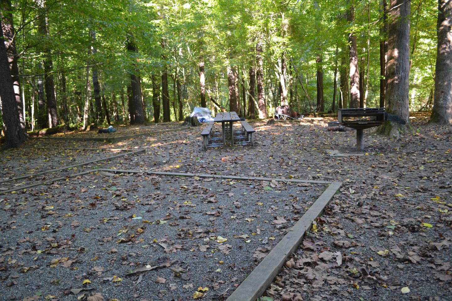 Cataloochee Group Camp Site 2Tent pads with view of picnic table and elevated cooking grill