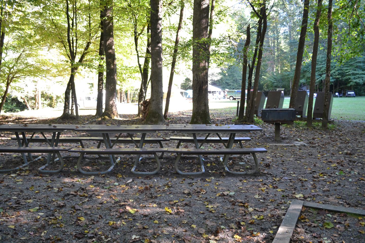 Group Site 2View of picnic tables from tent pad area with Group Site 1 shown in the foreground.  