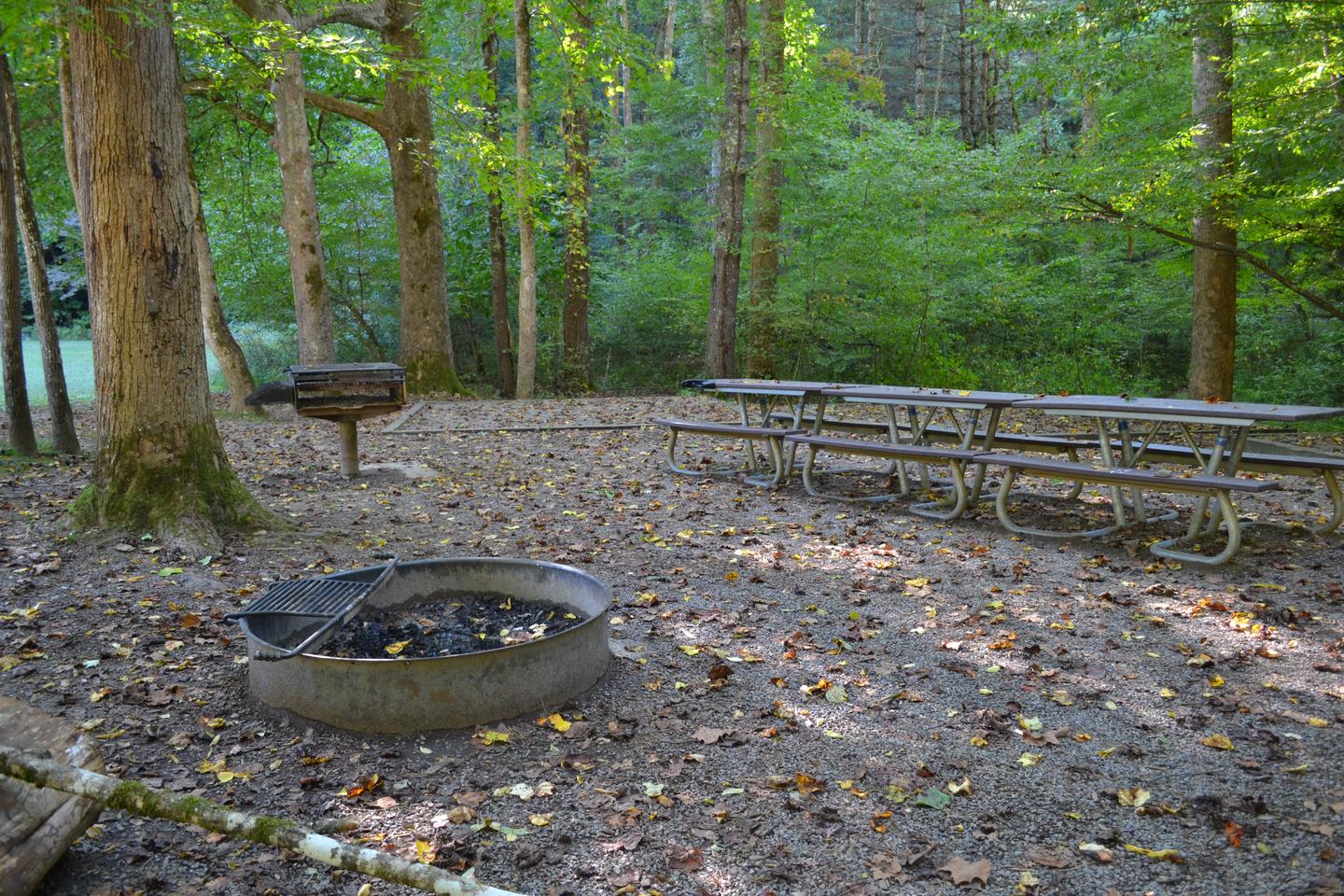 Cataloochee Group Site 2View of picnic tables for group site 2 with large fire ring in foreground and elevated grill located near picnic table area