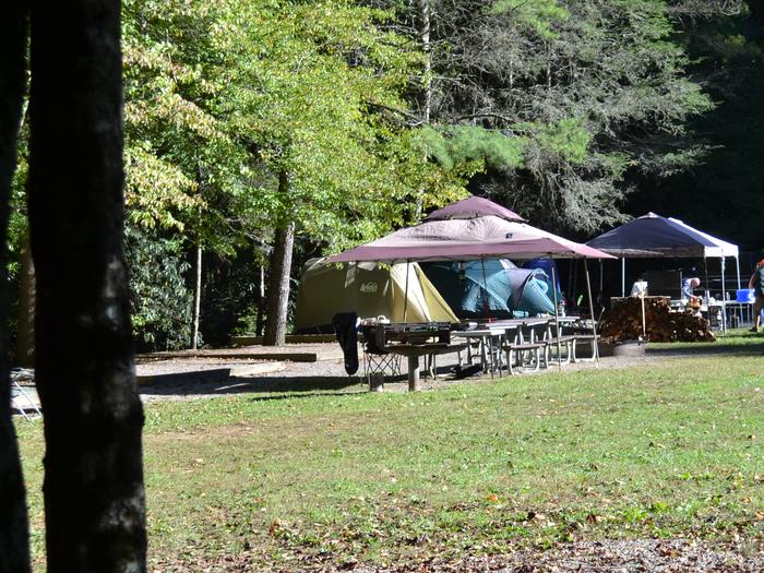Cataloochee Group Camp Site 1View of tent pads, picnic tables and elevated grill from Site 2