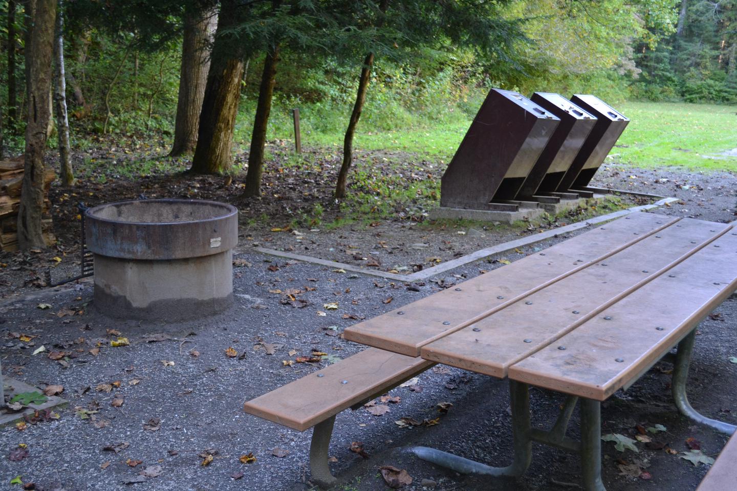 Cataloochee Group Camp Site 3Picnic table located near accessible fire pit (double insulated and elevated for safety).  