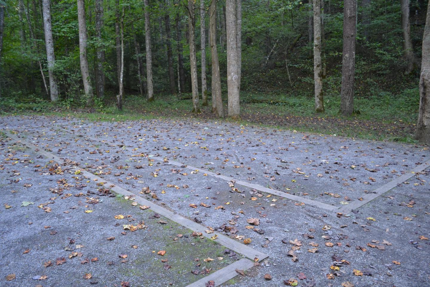 Cataloochee Group Site 3Tent pad area for site 3