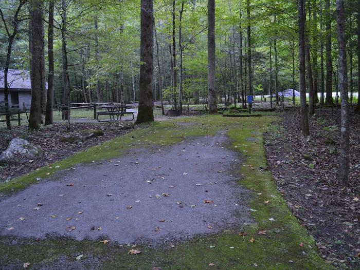 Big Creek Horse Camp Site 2Accessible site with paved parking pad