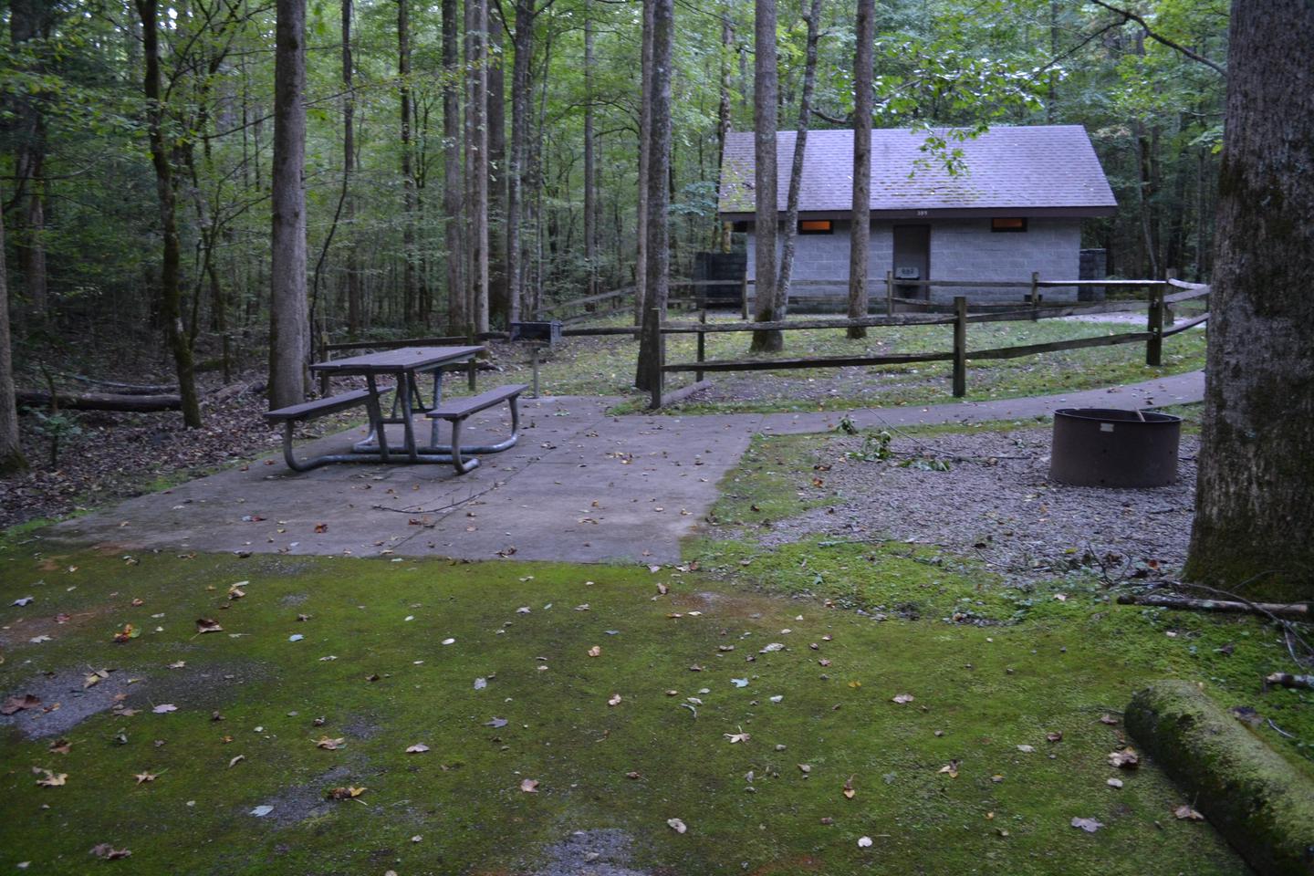 Big Creek Horse Camp Site 2View of picnic table, insulated fire pit and location of accessible restroom