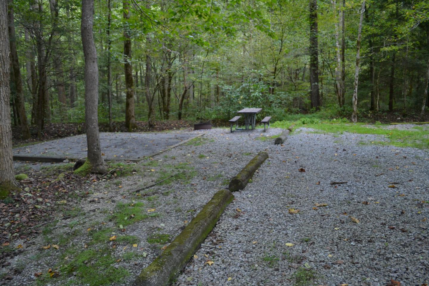 Big Creek Horse Camp Site 4View of site from road showing location of picnic table and tent pad relative to the parking pad