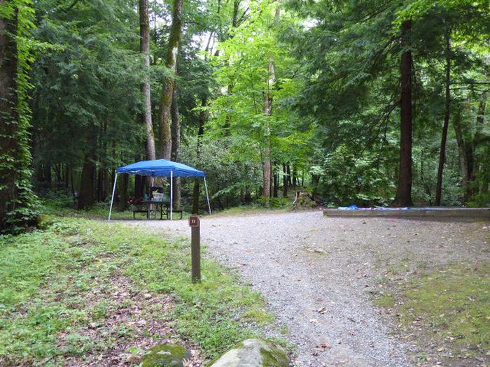 Elkmont Campground A11Site A11 showing tent pad and picnic table placement