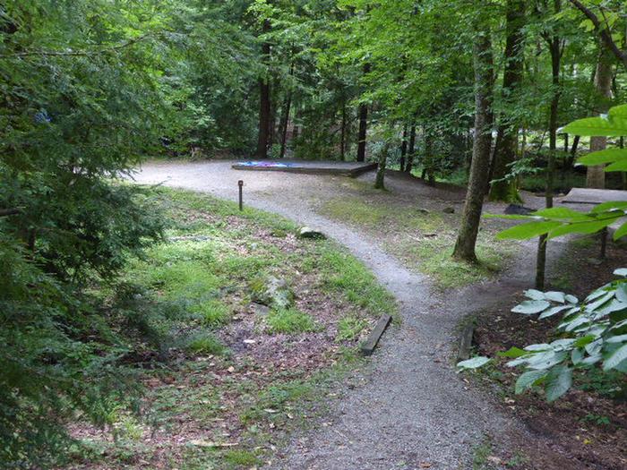 Elkmont Campground A11Walk way to A11 showing location of tent pad