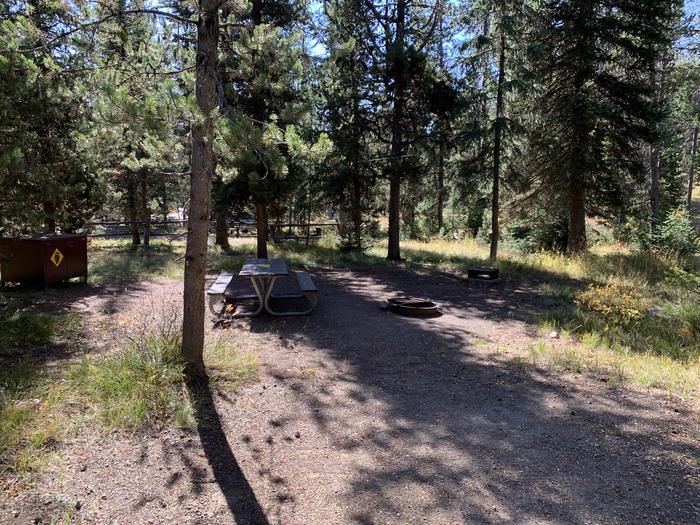 A photo of Site 3 of Loop Main Road at Lizard Creek Campground with Picnic Table, Fire Pit, Shade, Food Storage
