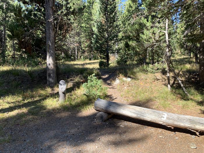 A photo of Site 3 of Loop Main Road at Lizard Creek Campground with Picnic Table, Fire Pit, Shade, Food Storage