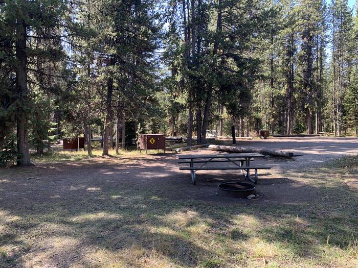 A photo of Site 53 of Loop Loop 1 at Lizard Creek Campground with Picnic Table, Fire Pit, Shade, Food Storage