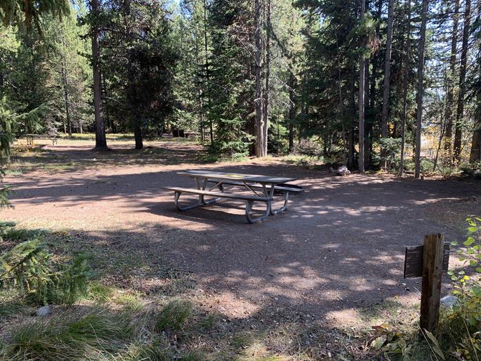 A photo of Site 38 of Loop Loop 2 at Lizard Creek Campground with Picnic Table, Fire Pit, Shade, Food Storage