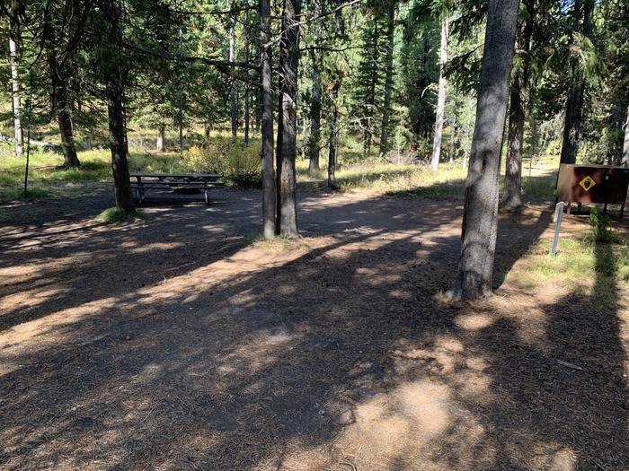 A photo of Site 13 of Loop Main Road at Lizard Creek Campground with Picnic Table, Fire Pit, Shade, Food Storage