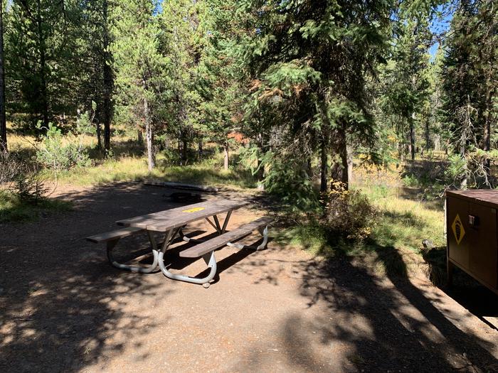 A photo of Site 11 of Loop Main Road at Lizard Creek Campground with Picnic Table, Fire Pit, Shade, Food Storage