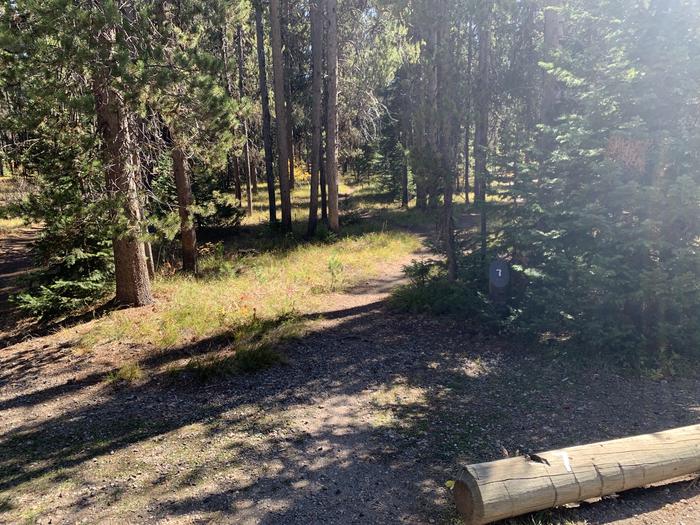 A photo of Site 7 of Loop Main Road at Lizard Creek Campground with Picnic Table, Fire Pit, Shade, Food Storage