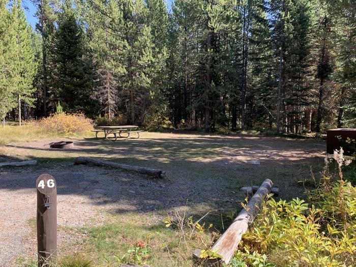 A photo of Site 46 of Loop Loop 2 at Lizard Creek Campground with Picnic Table, Fire Pit, Shade, Food Storage