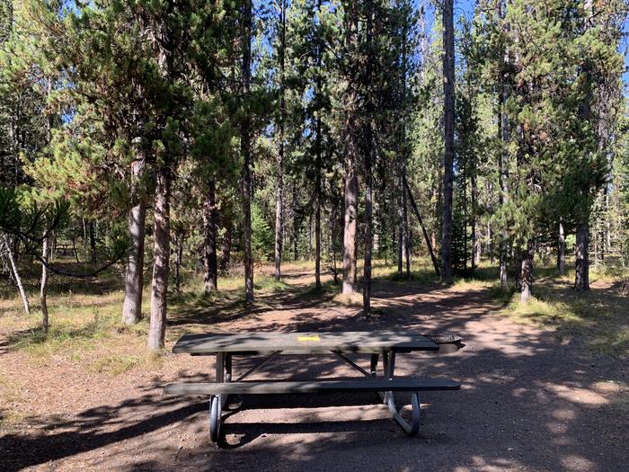 A photo of Site 50 of Loop Loop 1 at Lizard Creek Campground with Picnic Table, Fire Pit, Shade, Food Storage