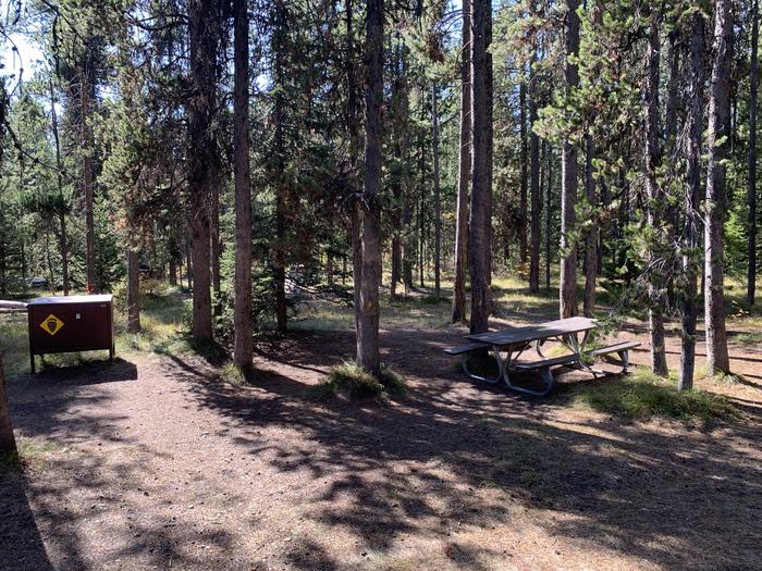 A photo of Site 52 of Loop Loop 1 at Lizard Creek Campground with Picnic Table, Fire Pit, Shade, Food Storage