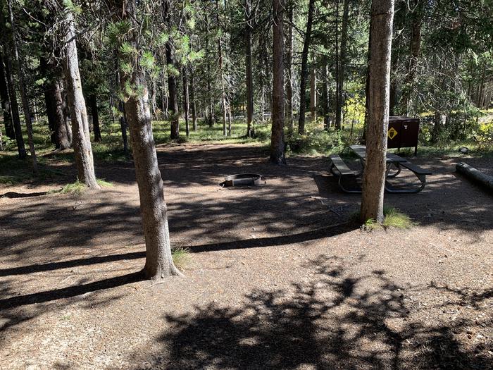 A photo of Site 21 of Loop Loop 2 at Lizard Creek Campground with Picnic Table, Fire Pit, Shade, Food Storage