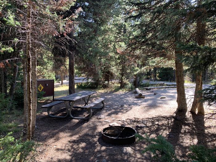 A photo of Site 63 of Loop Loop 1 at Lizard Creek Campground with Picnic Table, Fire Pit, Shade, Food Storage