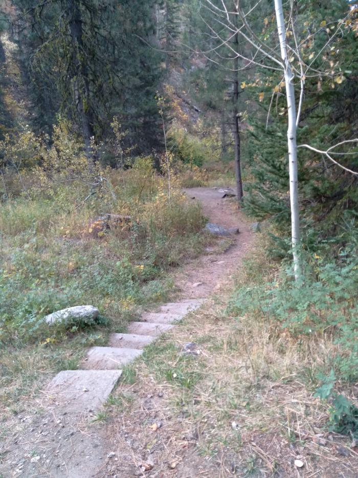 Stairs leading to a small campsite in the woods.Ten Mile Site 6 has a small path with shallow stairs that leads to the camping area.