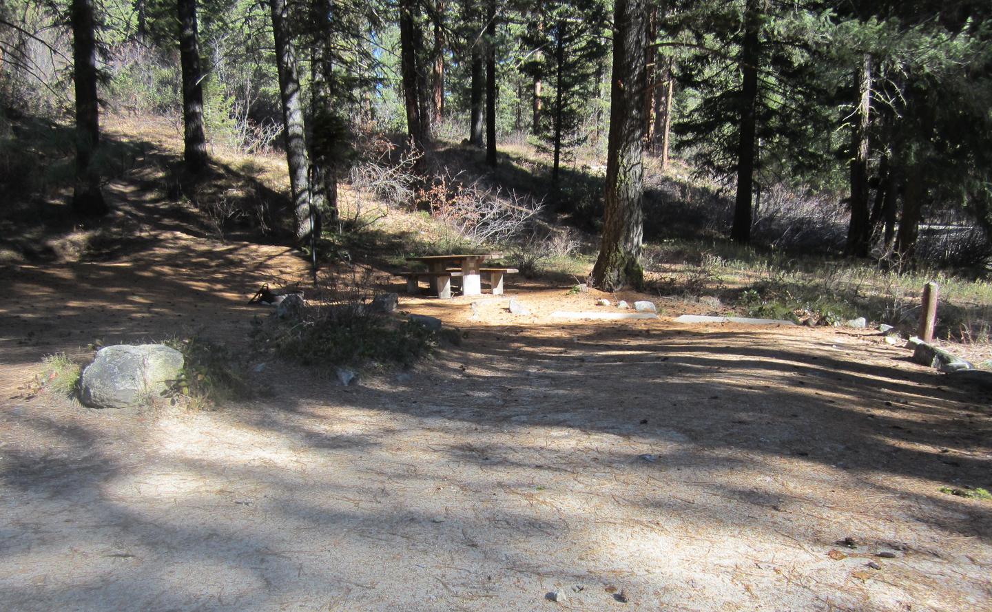 A partially shaded campsite with a wide, long parking space.Ten Mile Site 10 is partially shaded.