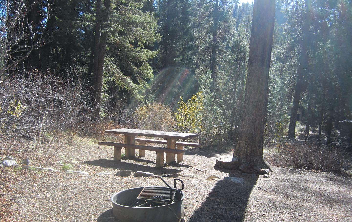 A sunny picnic table next to a fire ring.Ten Mile Site 11.