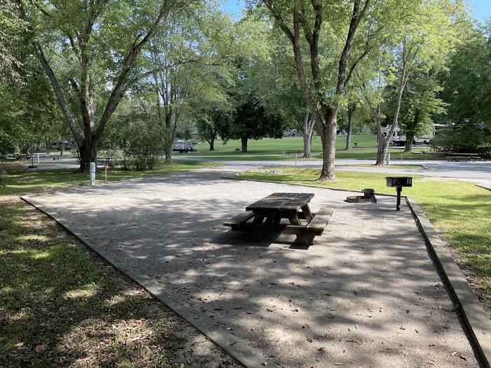 A photo of Site 133 of Loop HONE at DEFEATED CREEK PARK with Picnic Table, Electricity Hookup, Fire Pit, Shade, Water Hookup