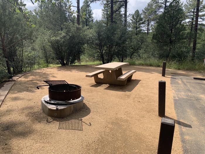 A photo of Site 02 of Loop A at LYNX CAMPGROUND with Picnic Table, Fire Pit