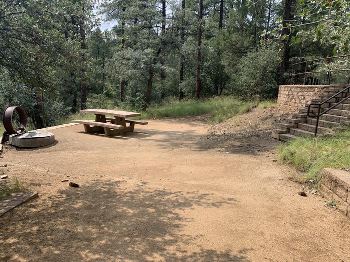 A photo of Site 10 of Loop C at LYNX CAMPGROUND with Picnic Table, Fire Pit with a dozen stairs to ascend to on-street parking. 