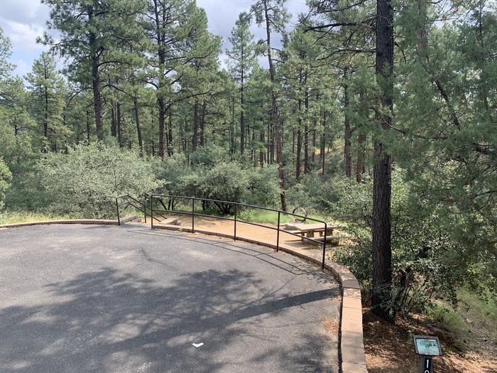A photo of Site 10 of Loop C at LYNX CAMPGROUND with Picnic Table, Fire Pit. On-street curbside parking with a dozen stairs to descend down to campsite. 