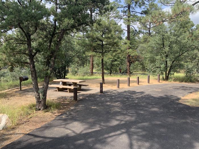 A photo of Site 21 of Loop E at LYNX CAMPGROUND with Picnic Table, Fire Pit and drive-thru parking. 