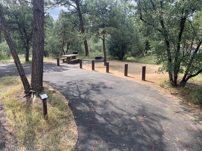A photo of Site 21 of Loop E at LYNX CAMPGROUND with Picnic Table, Fire Pit and drive thru parking. 