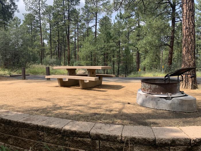 A photo of Site 24 of Loop F at LYNX CAMPGROUND with Picnic Table, Fire Pit