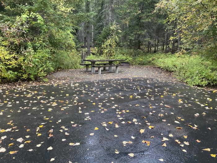 A photo of Site 011 of Loop BIRC at SWAN LAKE CAMPGROUND with Picnic Table, Fire Pit