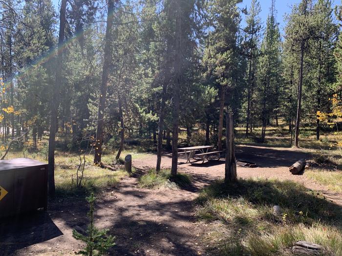 A photo of Site 10 of Loop Main Road at Lizard Creek Campground with Picnic Table, Fire Pit, Shade, Food Storage