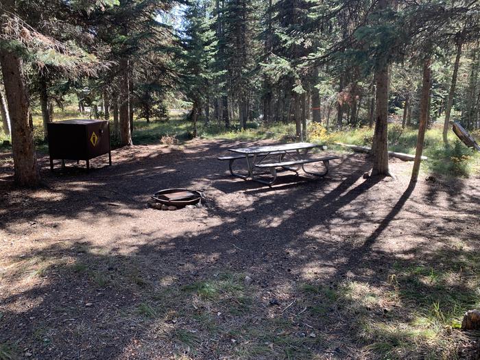 A photo of Site 1 of Loop Main Road at Lizard Creek Campground with Picnic Table, Fire Pit, Food Storage