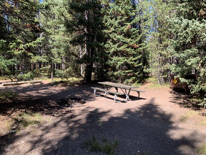 A photo of Site 47 of Loop Loop 2 at Lizard Creek Campground with Picnic Table, Fire Pit, Shade, Food Storage