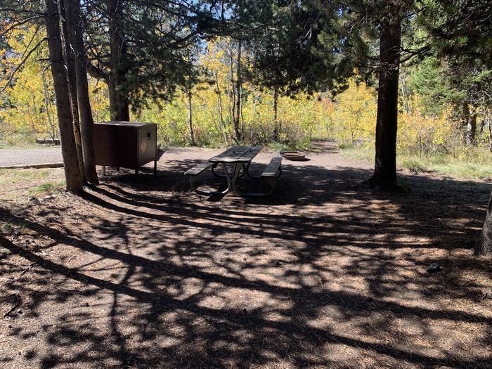 A photo of Site 36 of Loop Loop 2 at Lizard Creek Campground with Picnic Table, Fire Pit, Shade, Food Storage