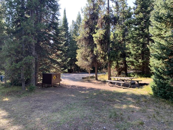 A photo of Site 61 of Loop Loop 1 at Lizard Creek Campground with Picnic Table, Fire Pit, Shade, Food Storage